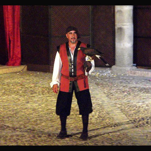 2006_Elhalconylacolumna_foto_001